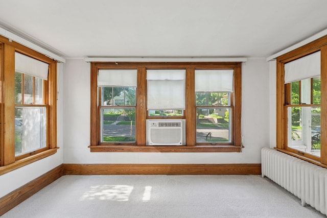 2085 Princeton Ave, Saint Paul, MN 55105 - carpeted empty room with radiator and cooling unit