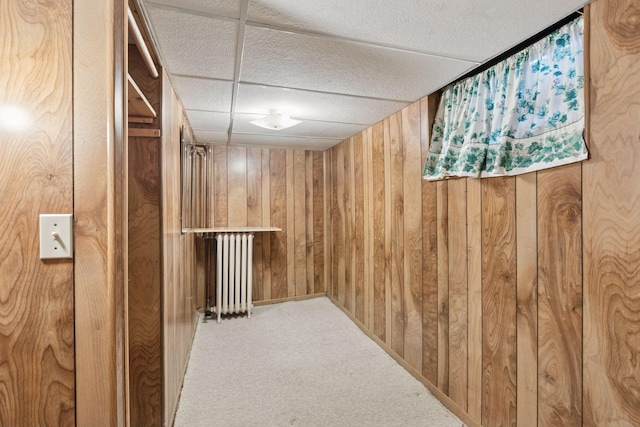 2085 Princeton Ave, Saint Paul, MN 55105 - finished basement featuring wood walls and carpet flooring
