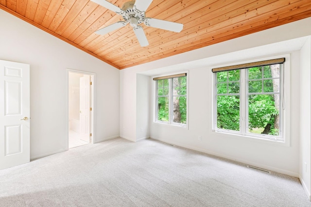 204 Central Ave S, Wayzata, MN 55391 - photo 14