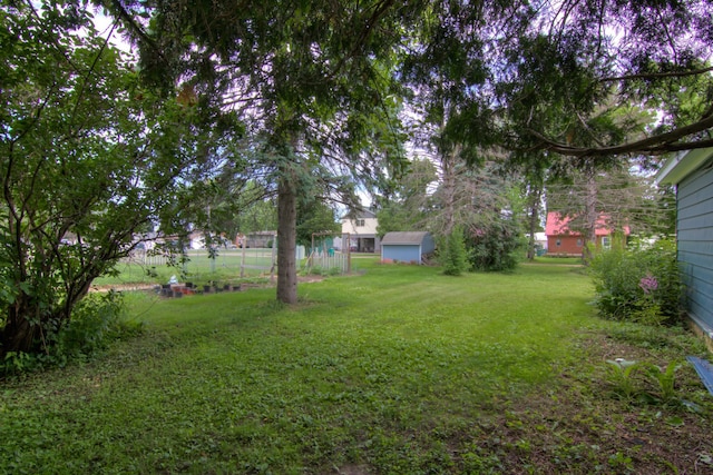 924 6th St W, Wabasha, MN 55981 - view of yard