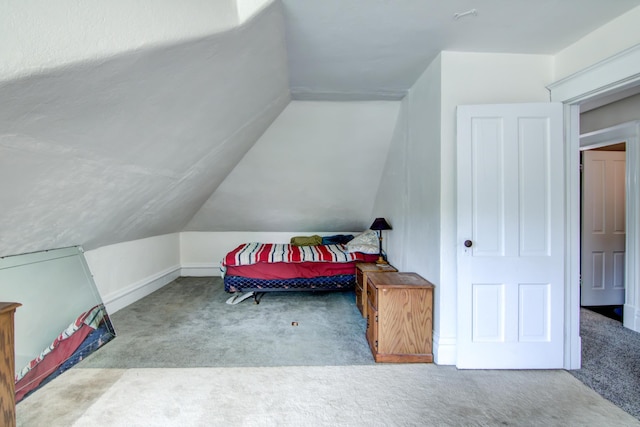 924 6th St W, Wabasha, MN 55981 - bedroom featuring carpet floors and vaulted ceiling