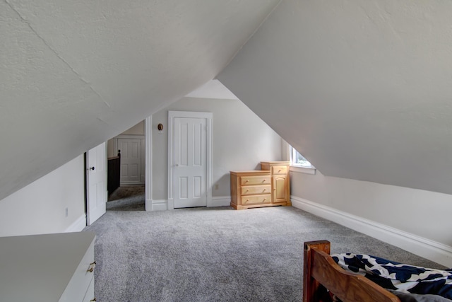 924 6th St W, Wabasha, MN 55981 - bonus room featuring carpet, lofted ceiling, and a textured ceiling