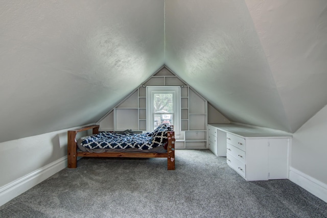 924 6th St W, Wabasha, MN 55981 - carpeted bedroom with lofted ceiling and a textured ceiling