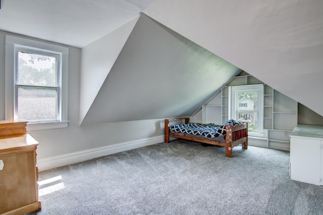 924 6th St W, Wabasha, MN 55981 - carpeted bedroom featuring baseboards and lofted ceiling