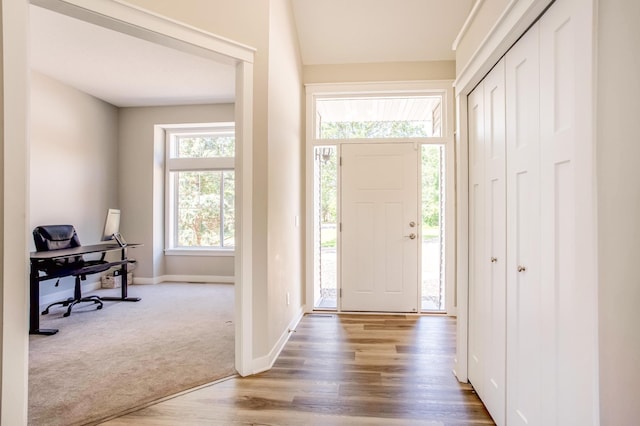 141 145th Ln NE, Ham Lake, MN 55304 - foyer featuring wood finished floors and carpet