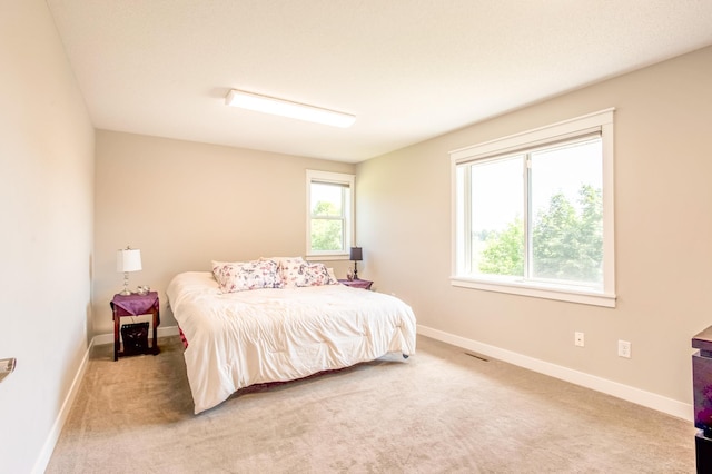 141 145th Ln NE, Ham Lake, MN 55304 - bedroom featuring carpet flooring and baseboards