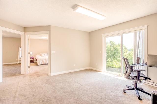 141 145th Ln NE, Ham Lake, MN 55304 - office area with carpet flooring and baseboards