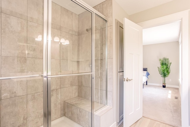 141 145th Ln NE, Ham Lake, MN 55304 - full bath featuring a stall shower