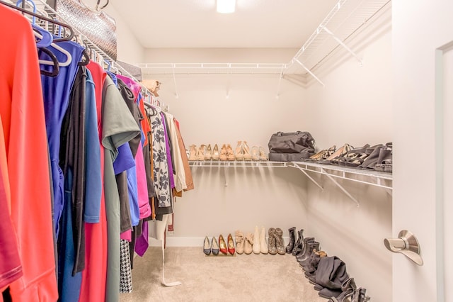 141 145th Ln NE, Ham Lake, MN 55304 - walk in closet featuring carpet flooring