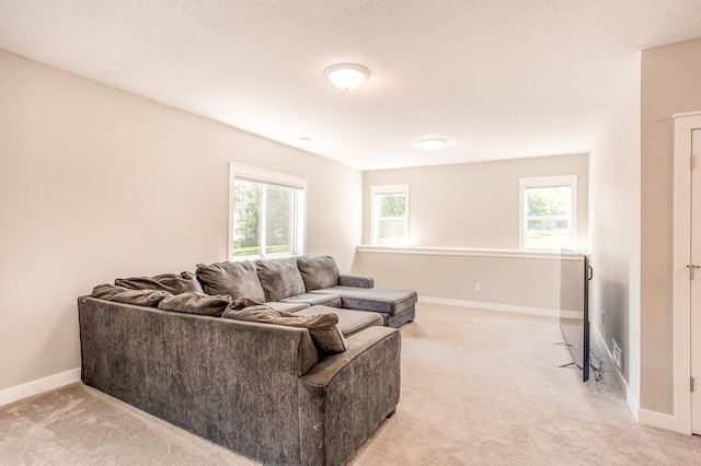 141 145th Ln NE, Ham Lake, MN 55304 - living room with light colored carpet
