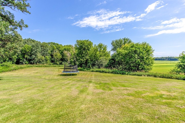 141 145th Ln NE, Ham Lake, MN 55304 - view of green lawn featuring a trampoline