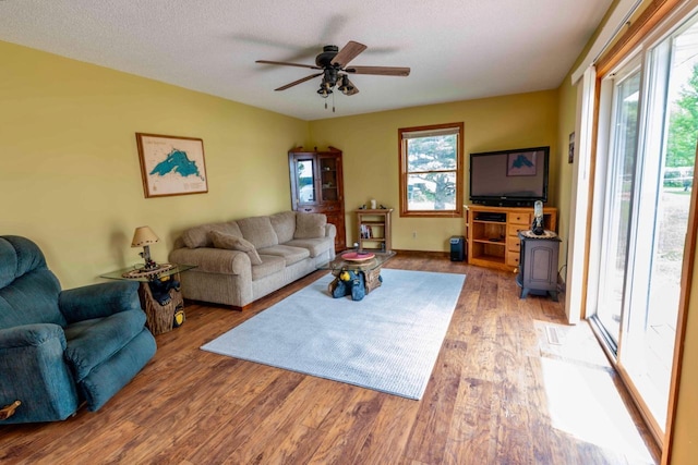 63714 Hannu Ln, Pine Lake Twp, MN 55735 - living room with a wood stove, wood finished floors, and ceiling fan
