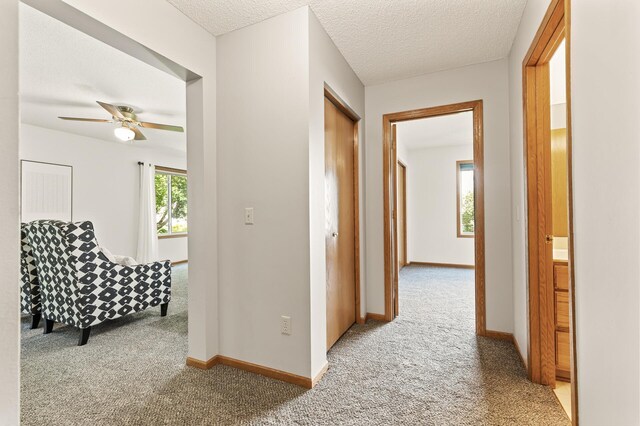 16587 Hudson Ave, Lakeville, MN 55044 - photo 16