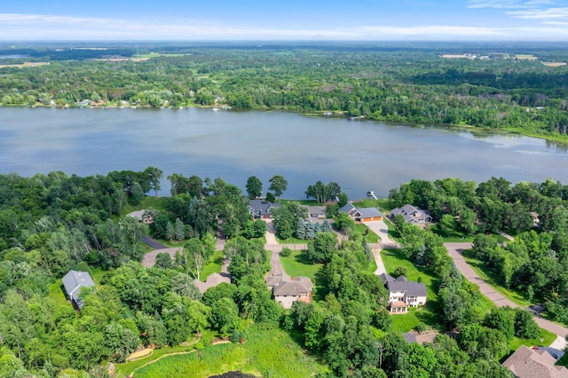 27230 Bayshore Dr, Isanti, MN 55040 - photo 29