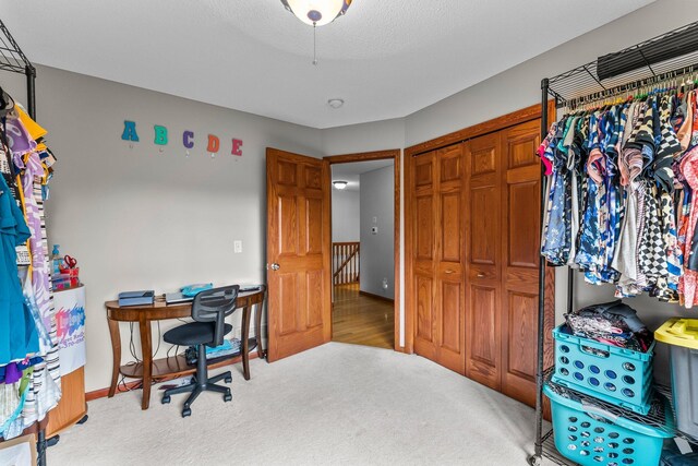 27230 Bayshore Dr, Isanti, MN 55040 - photo 17