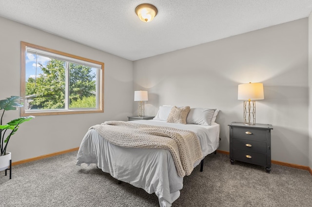 6913 174th St W, Farmington, MN 55024 - bedroom featuring carpet floors and a textured ceiling