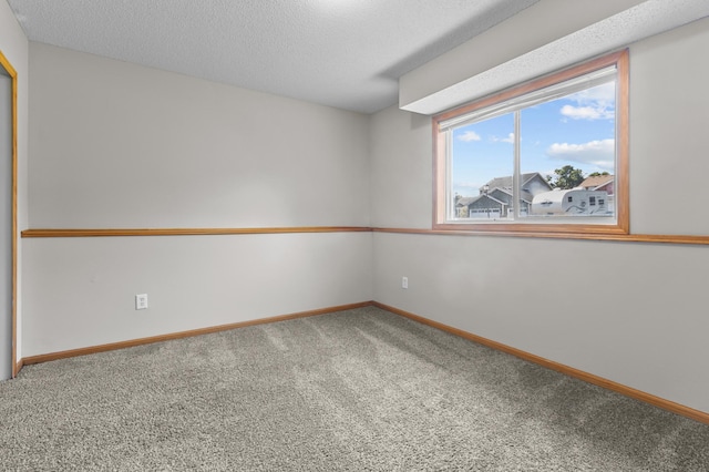 6913 174th St W, Farmington, MN 55024 - empty room with carpet floors and a textured ceiling