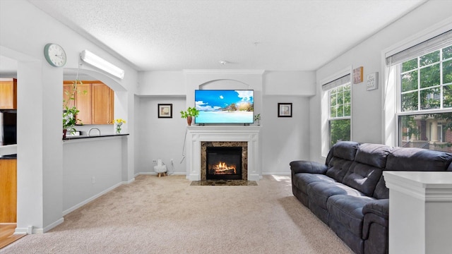 11333 Stratton Ave, Eden Prairie, MN 55344 - living area with a premium fireplace, carpet floors, and a textured ceiling