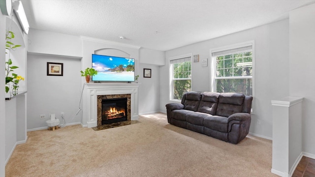 11333 Stratton Ave, Eden Prairie, MN 55344 - living room with a premium fireplace, carpet, and a textured ceiling