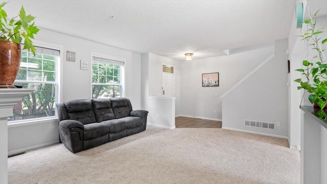 11333 Stratton Ave, Eden Prairie, MN 55344 - carpeted living area featuring a textured ceiling