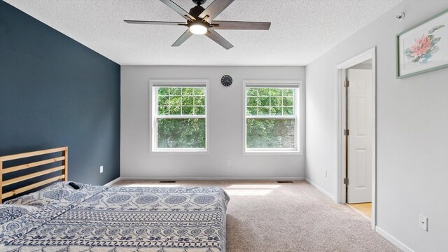 11333 Stratton Ave, Eden Prairie, MN 55344 - bedroom with a textured ceiling, carpet, and a ceiling fan
