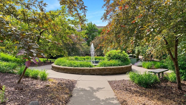 11333 Stratton Ave, Eden Prairie, MN 55344 - surrounding community