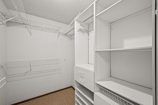 1306 Wynridge Dr, Arden Hills, MN 55112 - spacious closet featuring carpet flooring