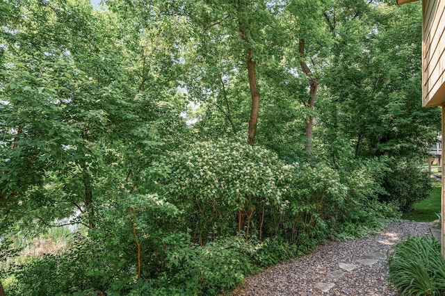 1306 Wynridge Dr, Arden Hills, MN 55112 - view of yard