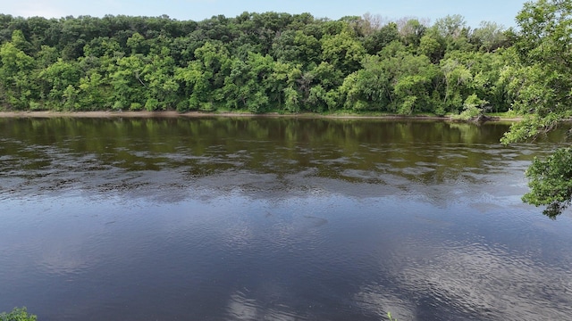 5848 16th Ave SE, Haven Twp, MN 56304 - water view with a forest