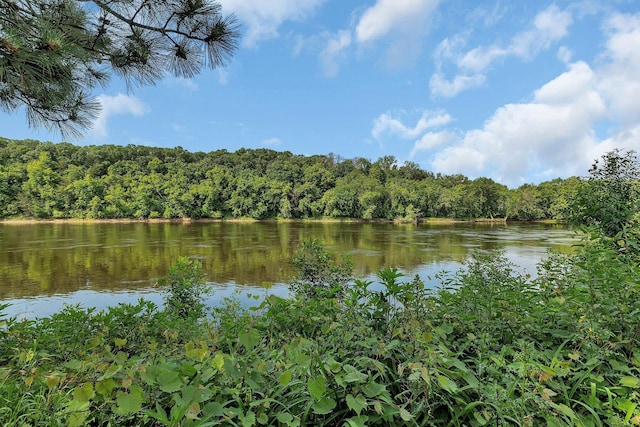 5848 16th Ave SE, Haven Twp, MN 56304 - water view featuring a heavily wooded area