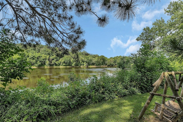 5848 16th Ave SE, Haven Twp, MN 56304 - water view with a forest