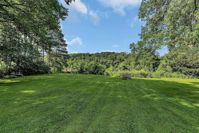 5848 16th Ave SE, Haven Twp, MN 56304 - view of grassy yard featuring a forest view