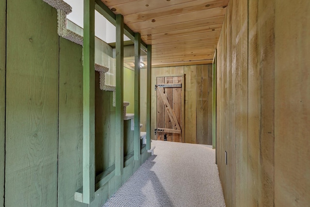5848 16th Ave SE, Haven Twp, MN 56304 - hall with wooden walls and wooden ceiling