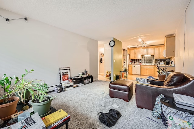 4010 15th Ave S Unit 6D, Minneapolis, MN 55407 - living room with light colored carpet and a textured ceiling