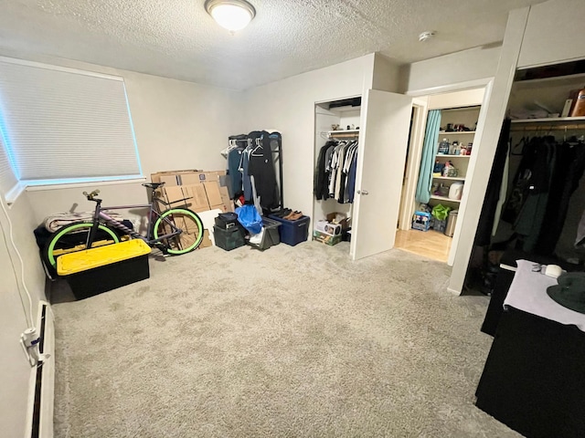 4010 15th Ave S Unit 6D, Minneapolis, MN 55407 - bedroom with carpet floors, a textured ceiling, and a closet