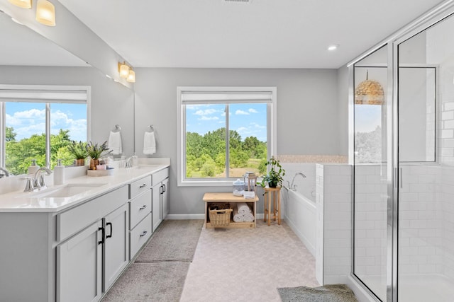 14811 Willemite St NW, Ramsey, MN 55303 - bathroom featuring plenty of natural light, double vanity, a bath, a shower stall, and recessed lighting