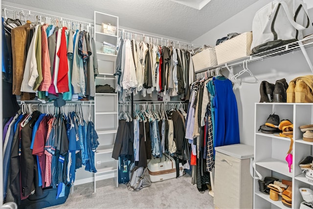 14811 Willemite St NW, Ramsey, MN 55303 - walk in closet with carpet floors