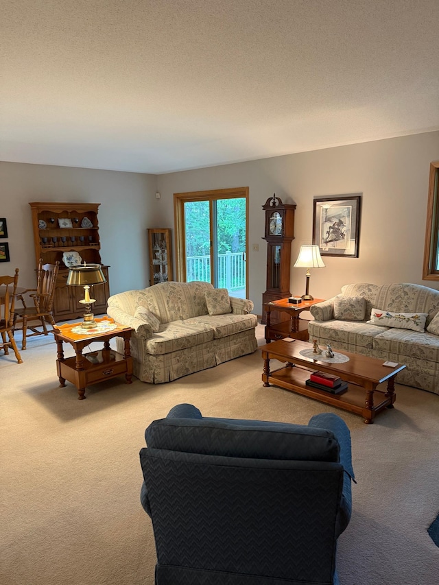 527 Woodside Ct, Shakopee, MN 55379 - living room with carpet floors