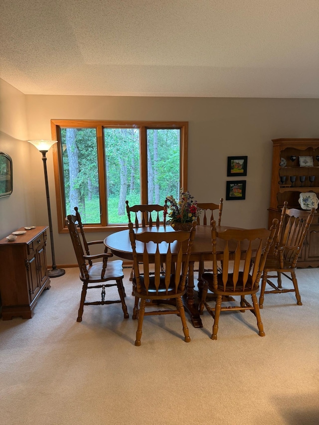 527 Woodside Ct, Shakopee, MN 55379 - dining space featuring light carpet