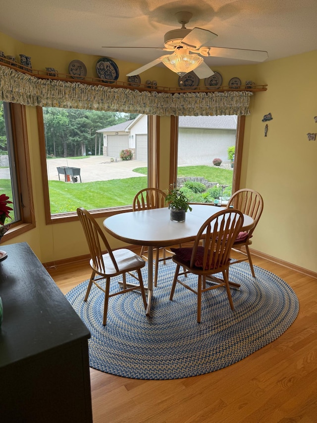 527 Woodside Ct, Shakopee, MN 55379 - dining room with plenty of natural light and light wood finished floors