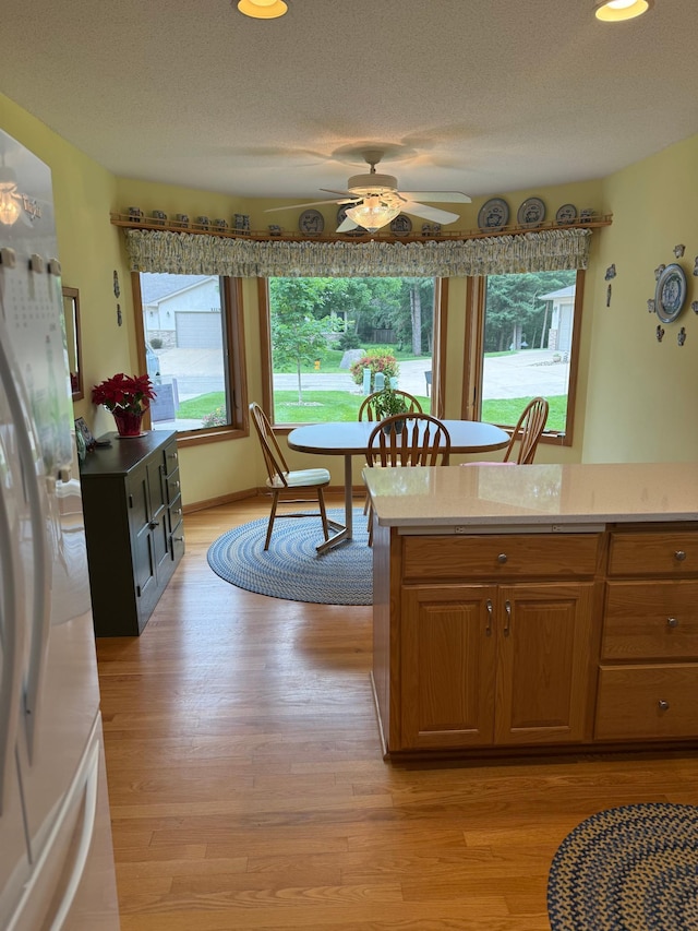 527 Woodside Ct, Shakopee, MN 55379 - dining room featuring plenty of natural light, light wood-style flooring, a ceiling fan, and a textured ceiling