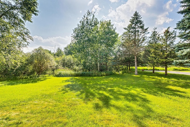 5577 Alameda St, Shoreview, MN 55126 - view of grassy yard