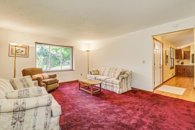 5577 Alameda St, Shoreview, MN 55126 - carpeted living room with a textured ceiling and baseboards