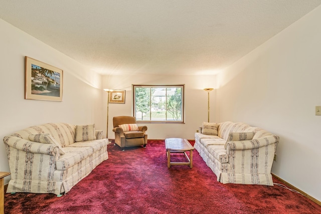 5577 Alameda St, Shoreview, MN 55126 - carpeted living area with a textured ceiling