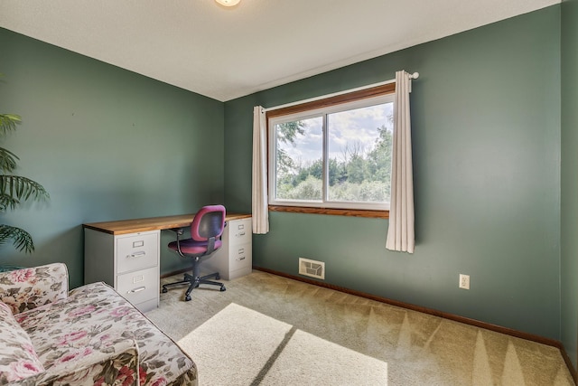 5577 Alameda St, Shoreview, MN 55126 - office featuring light colored carpet and baseboards
