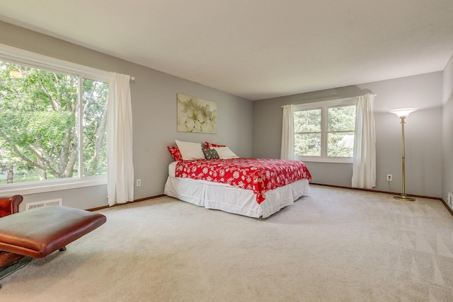 5577 Alameda St, Shoreview, MN 55126 - carpeted bedroom featuring baseboards