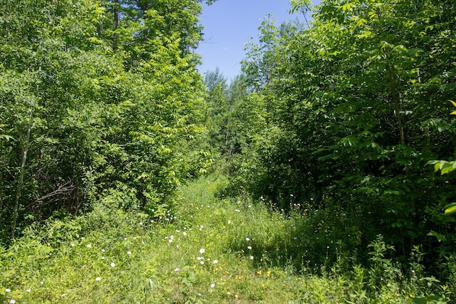 0000 Riverside Rd, Moose Lake Twp, MN 55767