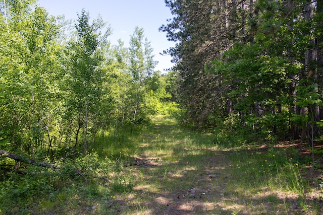 0000 Riverside Rd, Moose Lake Twp, MN 55767
