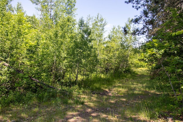 0000 Riverside Rd, Moose Lake Twp, MN 55767