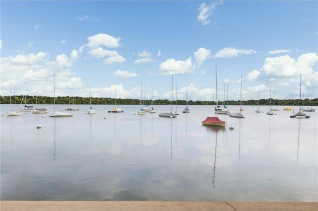 4520 Nicollet Ave, Minneapolis, MN 55419 - water view